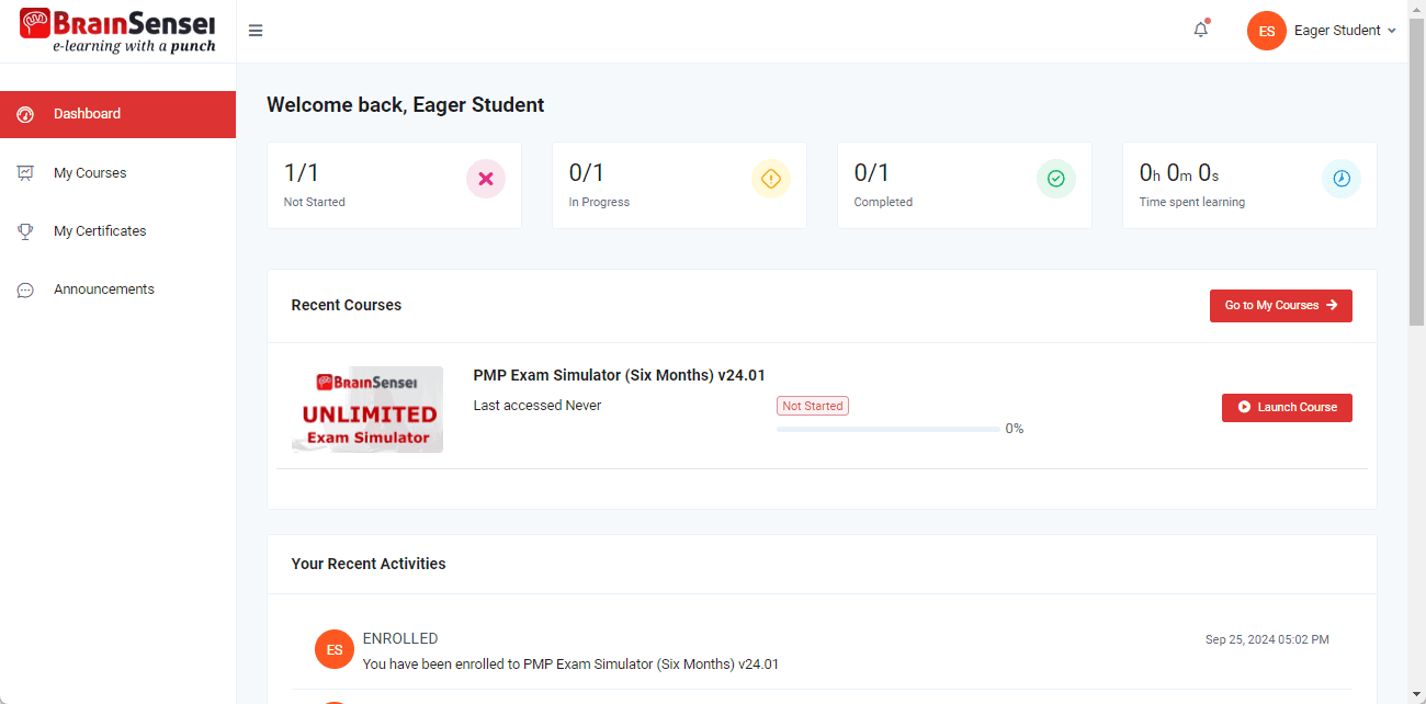 PMP Exam Simulator Example 1